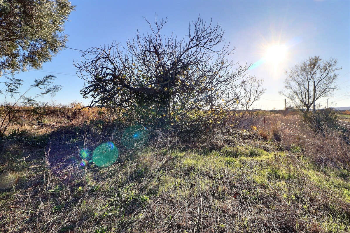 Maison à VILLENEUVE-LES-MAGUELONE