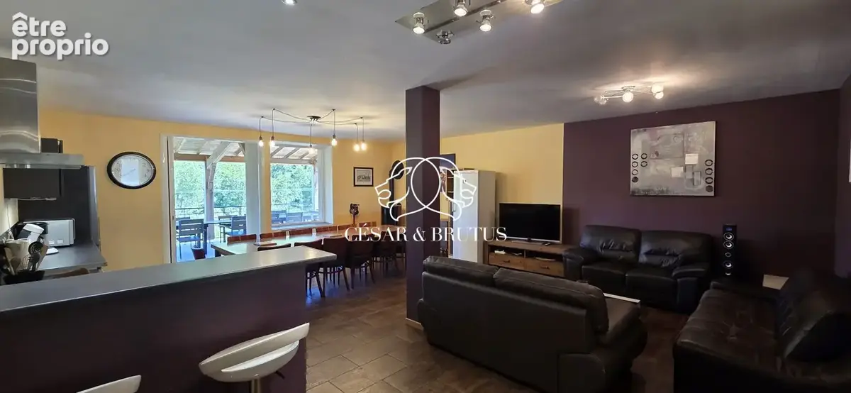 Maison 11 pièces 343 m² à vendre à Saint-Vincent (43800) - photo 9