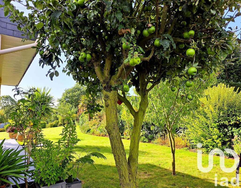 Photo 4 - Maison à PLOUFRAGAN