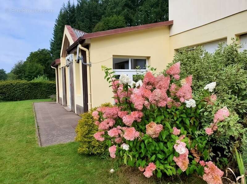Maison à REMIREMONT