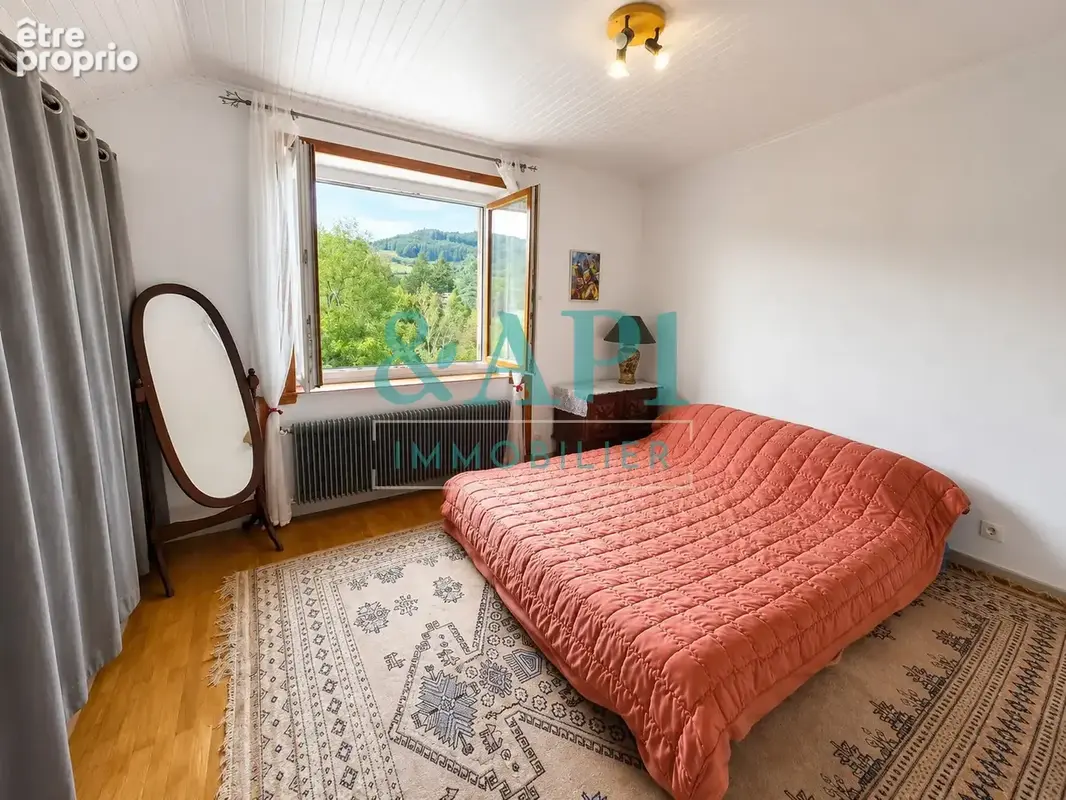 HABERE LULLIN maison traditionnelle sur sous-sol total, beau potentiel A SAISIR - photo 23