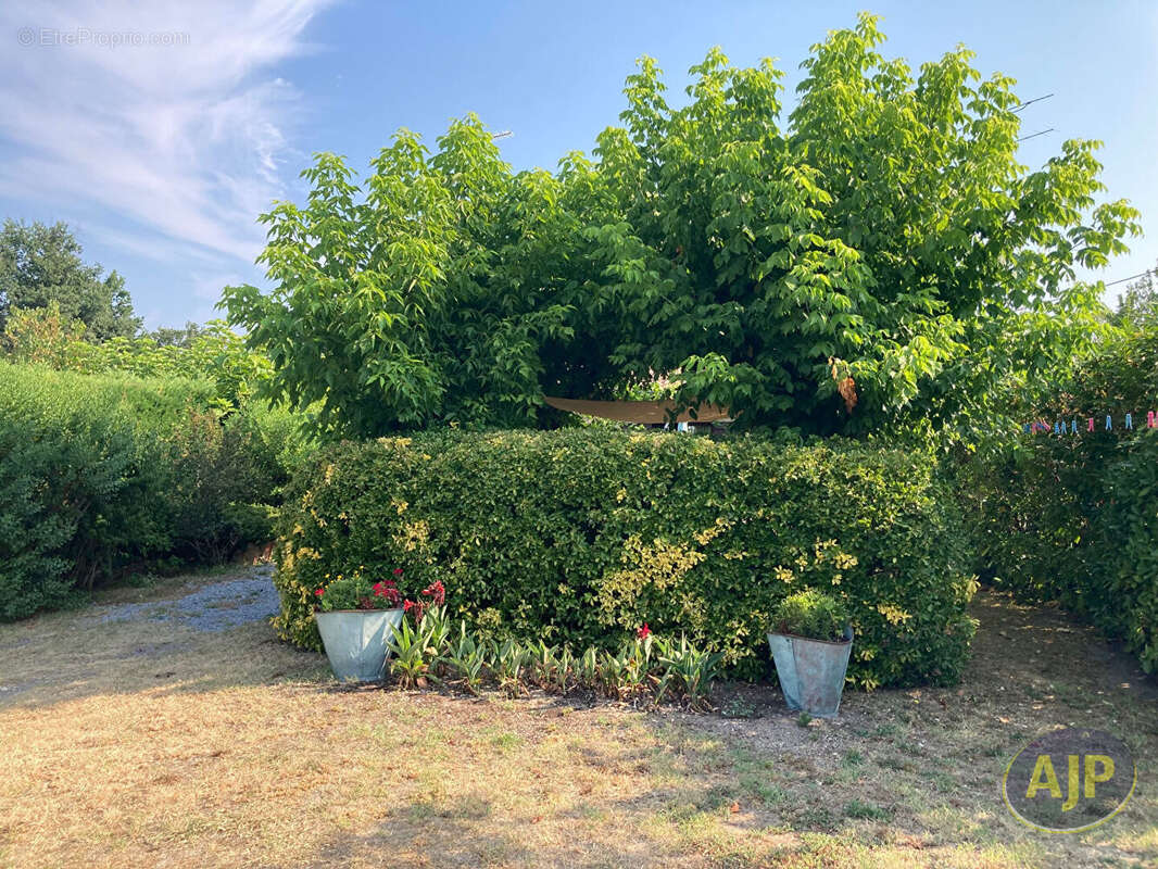Maison à SAINT-LAURENT-MEDOC
