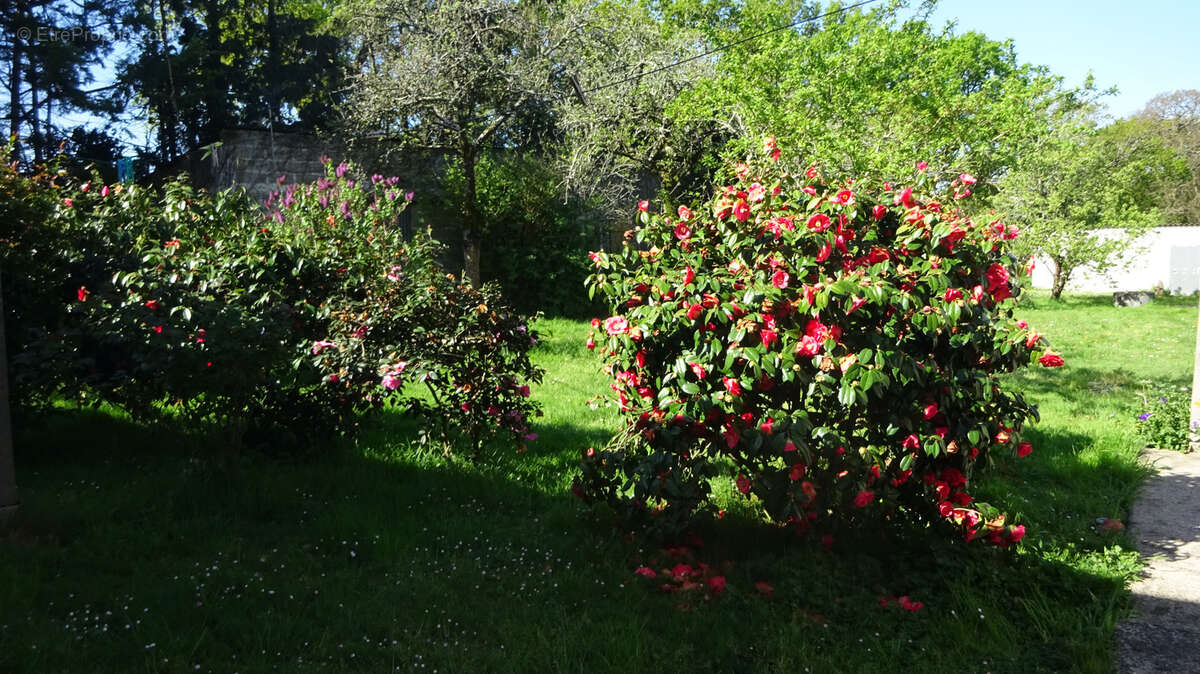 Maison à SAINT-NAZAIRE