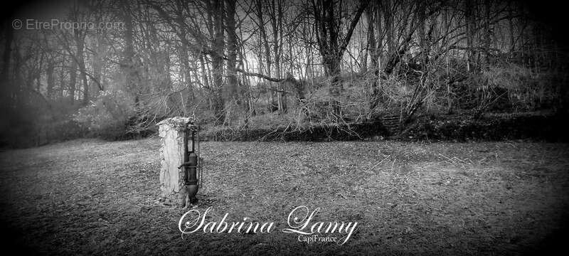 Terrain à ORBAIS-L&#039;ABBAYE