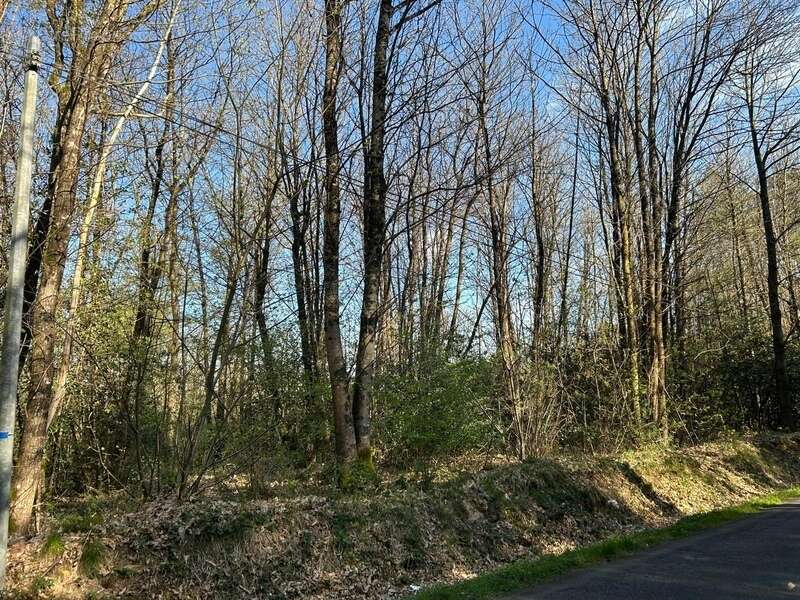 Terrain à LE VIEIL-BAUGE