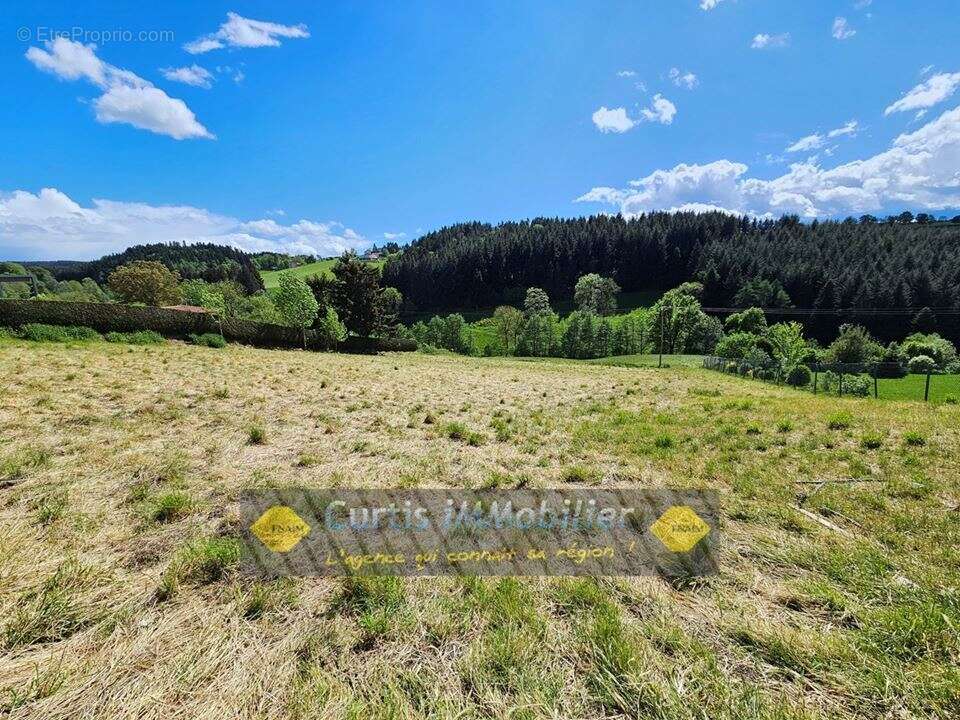 Terrain 2200 m² à Saint-Just-Malmont  - photo 3