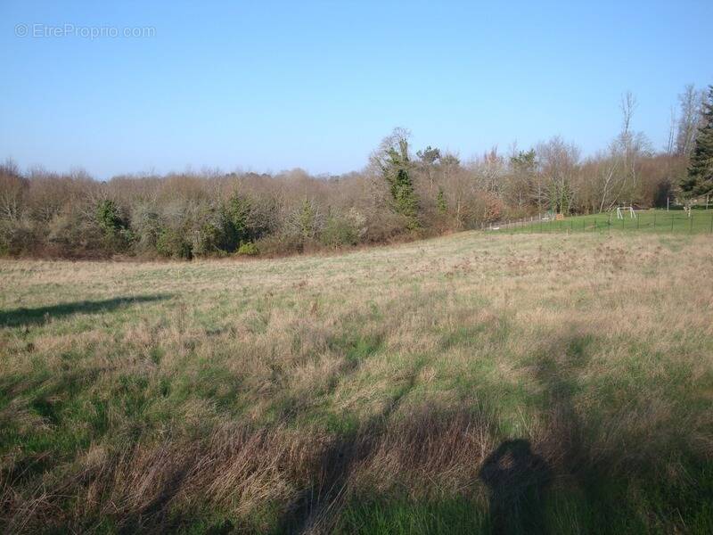 Terrain à CHAMPCEVINEL