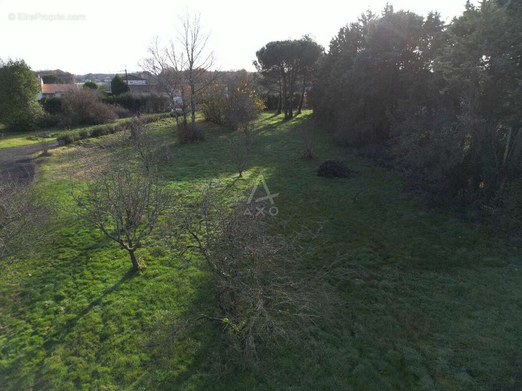 Terrain à vendre - 2682 m² - Mignaloux-Beauvoir - photo 2