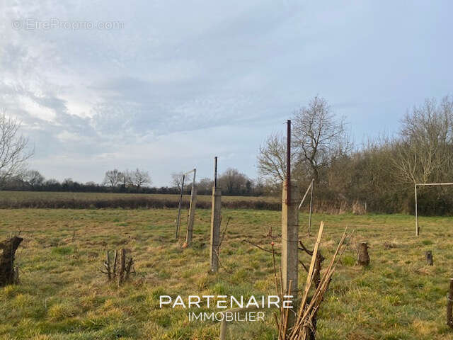 Terrain à TALMONT-SAINT-HILAIRE