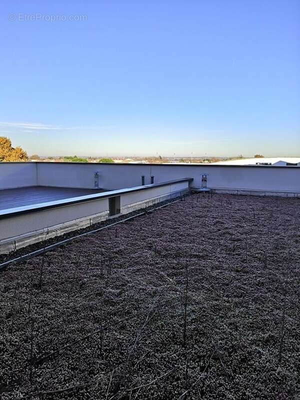 Appartement d'exception avec grande terrasseT4, Blagnac!! - photo 3