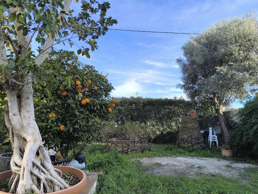 Photo 2 - Maison à LA CIOTAT