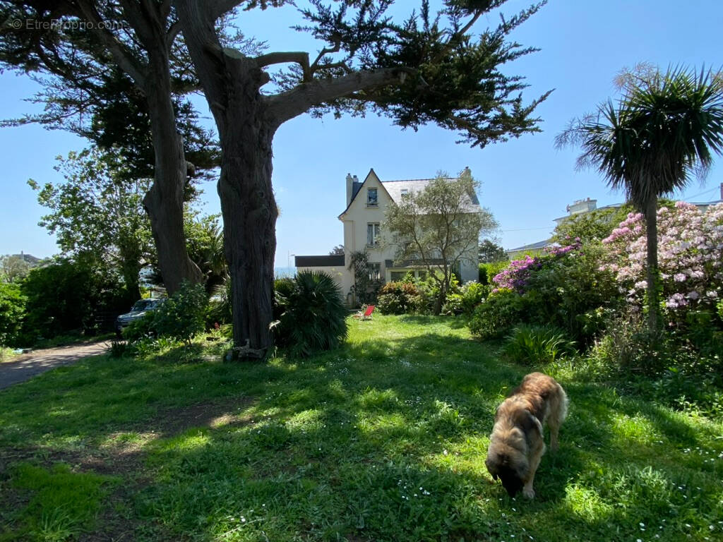 Maison à LOCMARIA-PLOUZANE