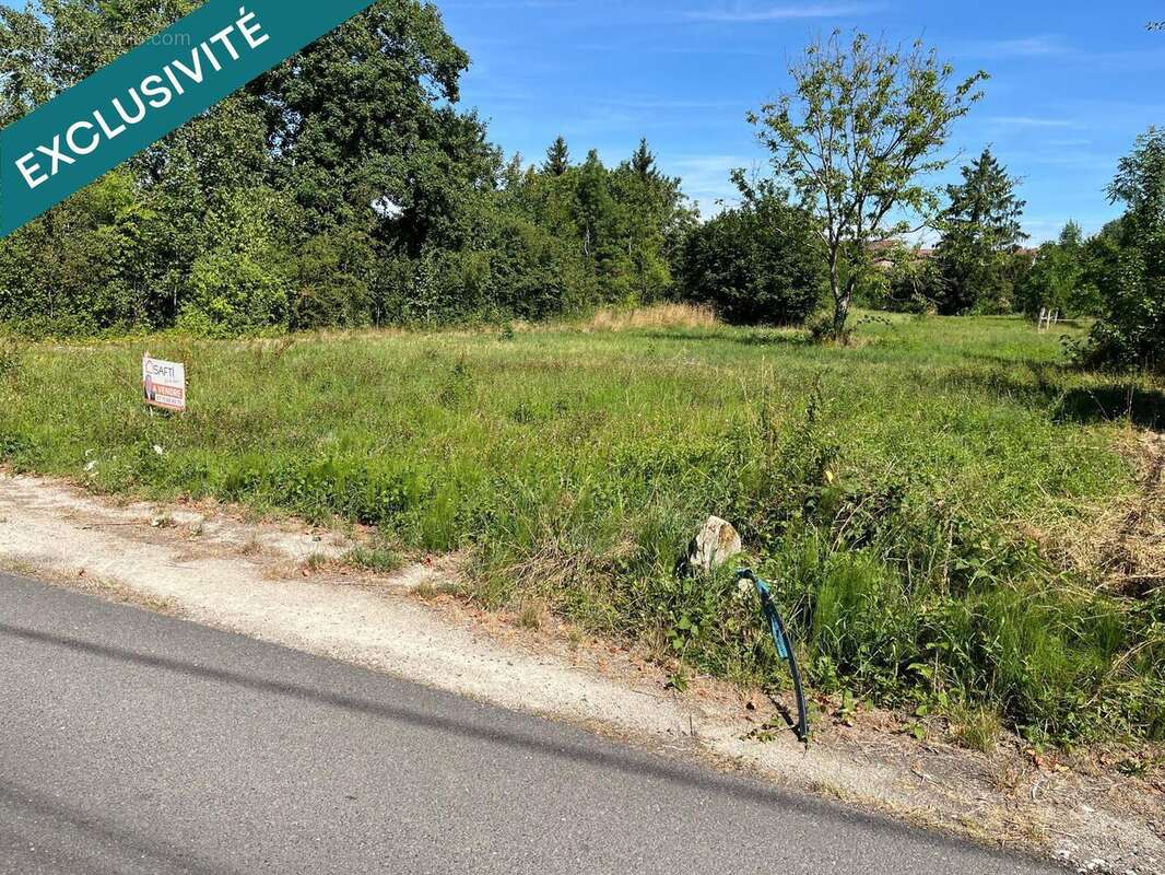 Terrain 1242 m² à Revigny-Sur-Ornain  - photo 6