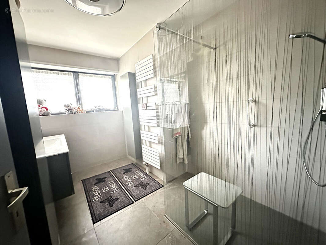 Maison d'exception à vendre à Daubensand - 8 pièces, piscine, calme absolu - photo 3