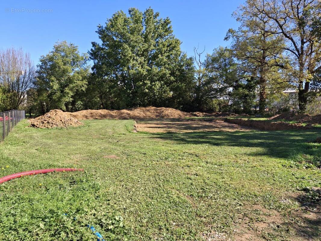 Terrain à VILLEREAL