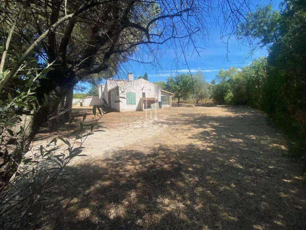 Ensemble immobilier Alpilles Sud sur terrain de 3627 M2 - photo 4