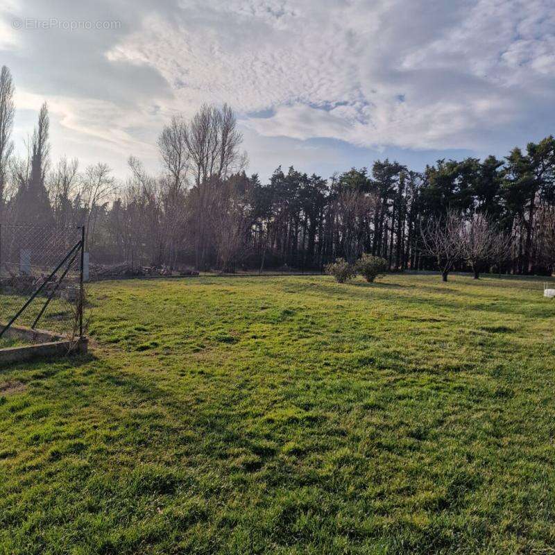 Maison à MONTELIMAR