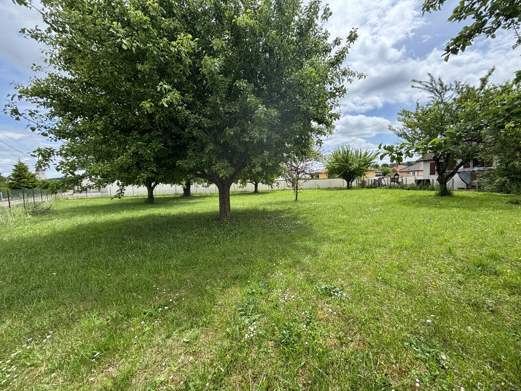 Terrain à MUSSY-SUR-SEINE