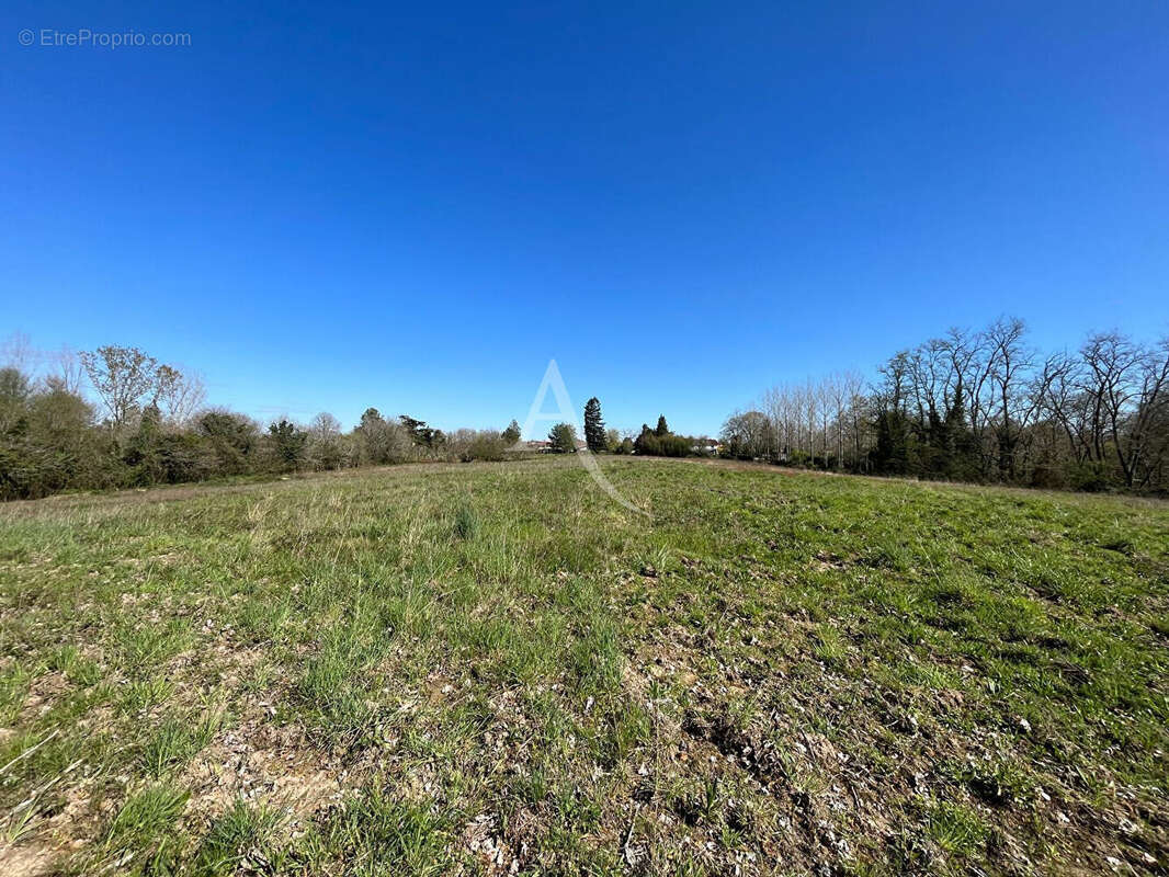 Villeneuve de  Marsan - photo 12