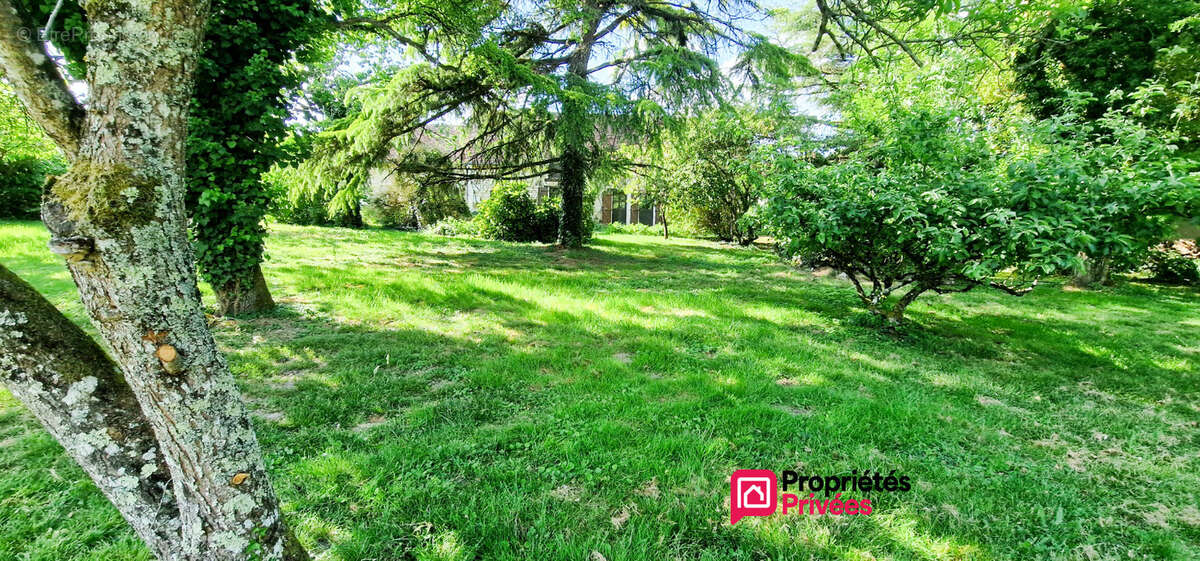 Baudres - longère de plain-pied 180 m² - 6 pièces/4 chambres - ascenseur - jardin arboré - photo 17