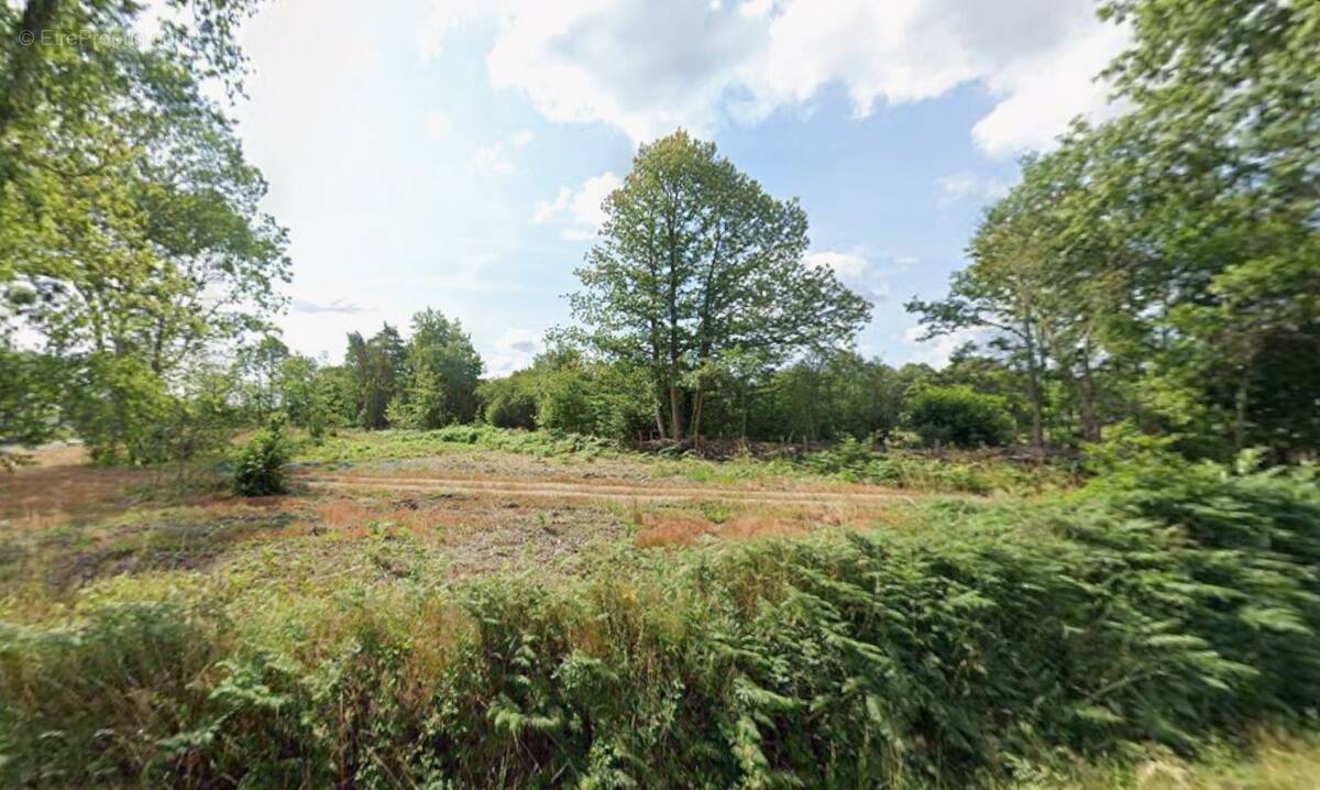 Terrain à VIGNEUX-DE-BRETAGNE