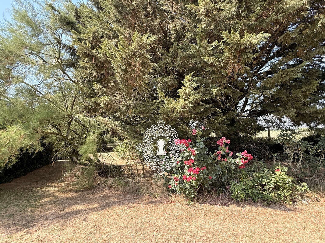 Région Chenoise - photo 15