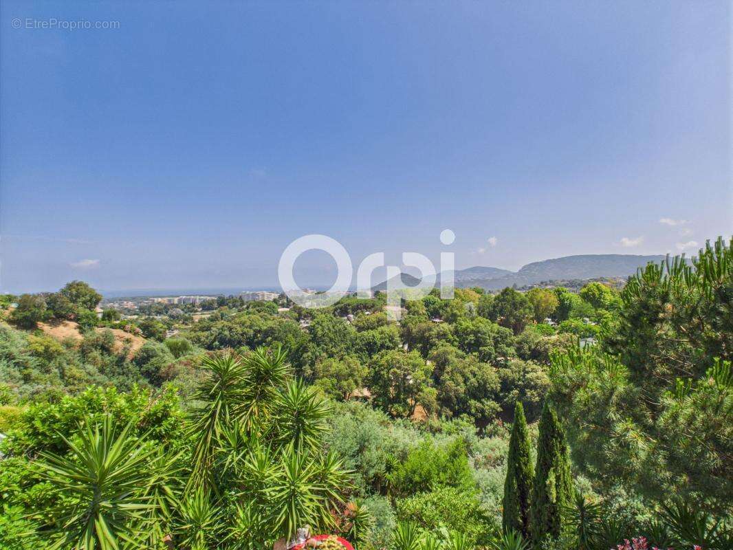 Vue mer et estérel - maison individuelle + studio + t2 - piscine - jardin - plein sud - photo 6