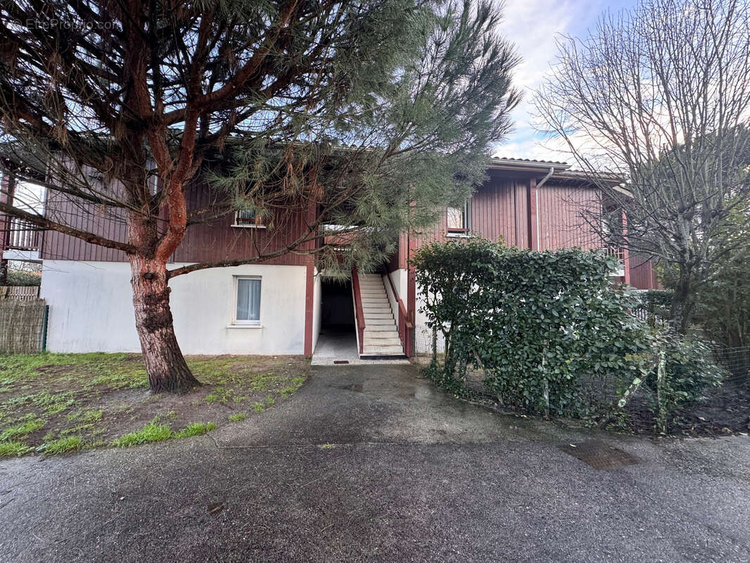 Appartement à SANGUINET