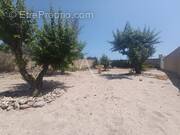 Maison à FRONTIGNAN