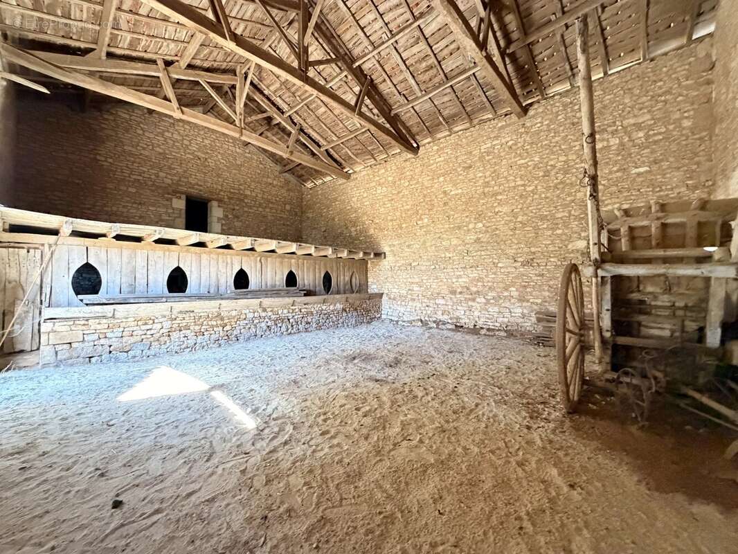 Charmante propriété de caractère avec plus de 2 hectares, grange, cave voûtée et dépendance aménageable à proximité de Ruffec - photo 5