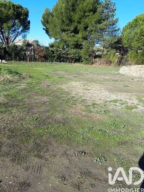 Photo 2 - Terrain à CHEVAL-BLANC