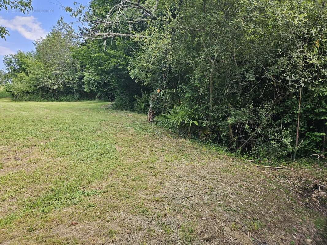 Maison à CROUSEILLES