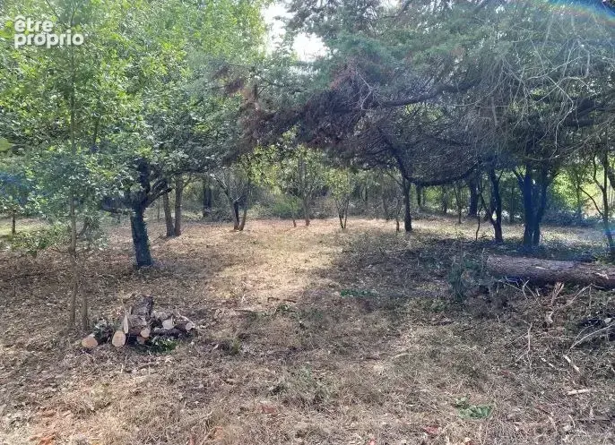 Terrain à BRAX