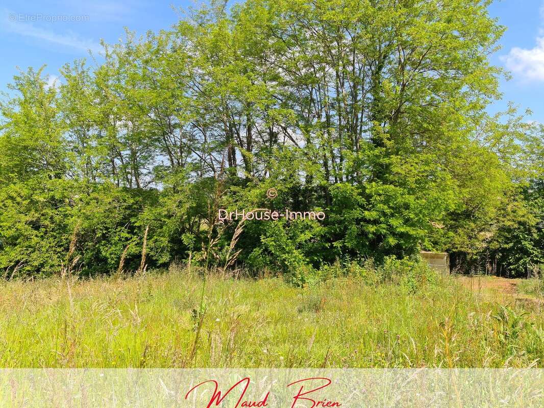 Terrain à MONTFORT-EN-CHALOSSE