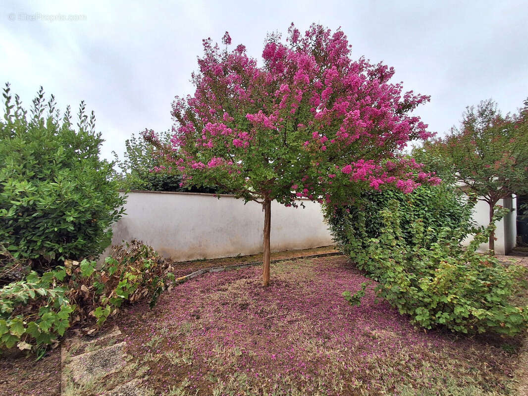 Photo 7 - Maison à NIORT