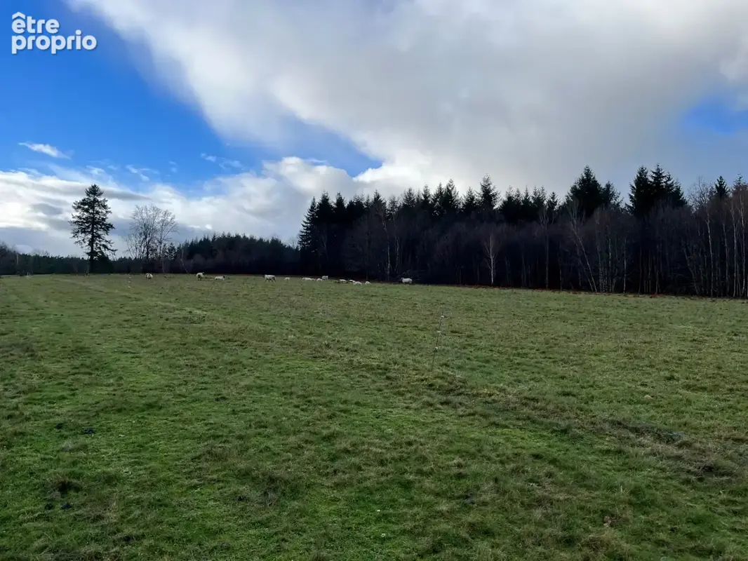 Maison en pierres avec belle grange et terrain - photo 18