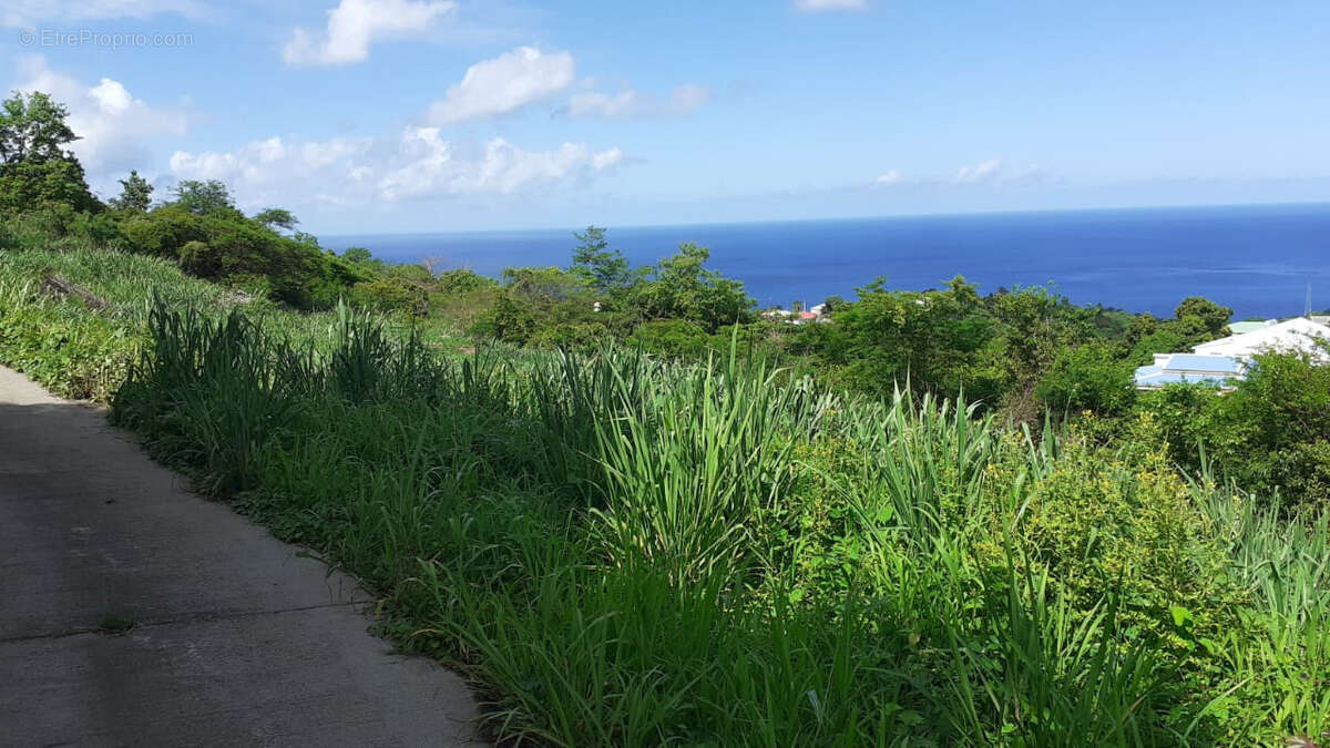 Terrain à VIEUX-HABITANTS
