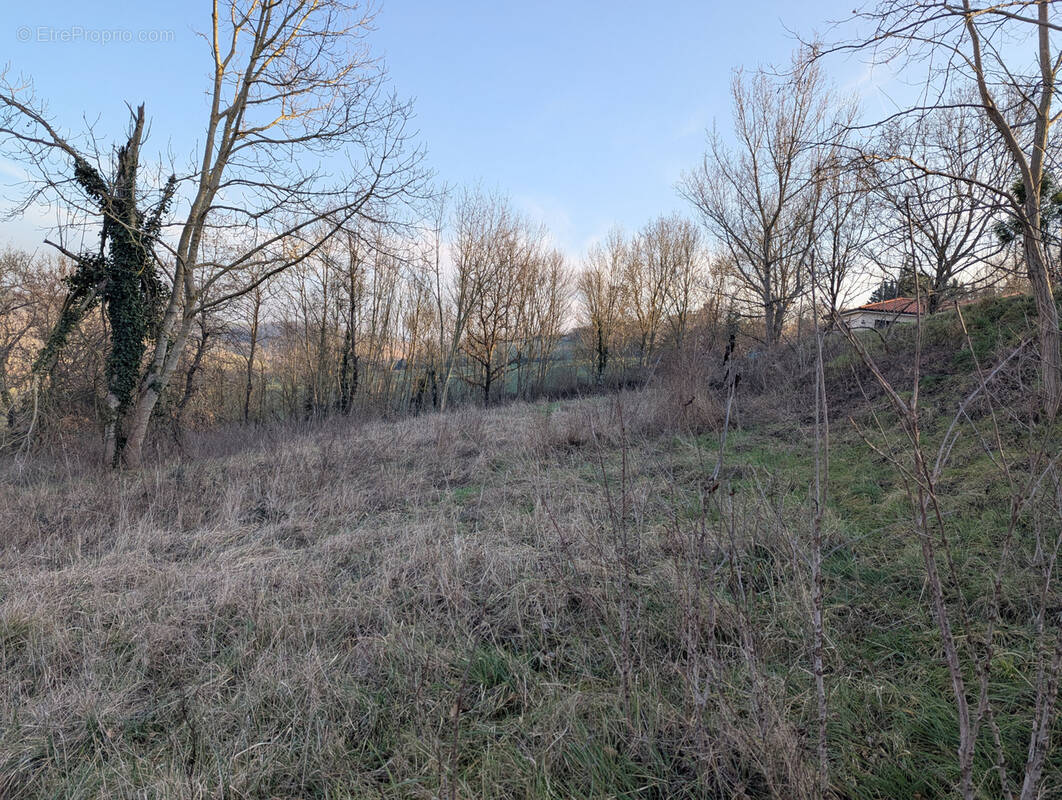 Terrain à VILLEFRANCHE-DE-LAURAGAIS
