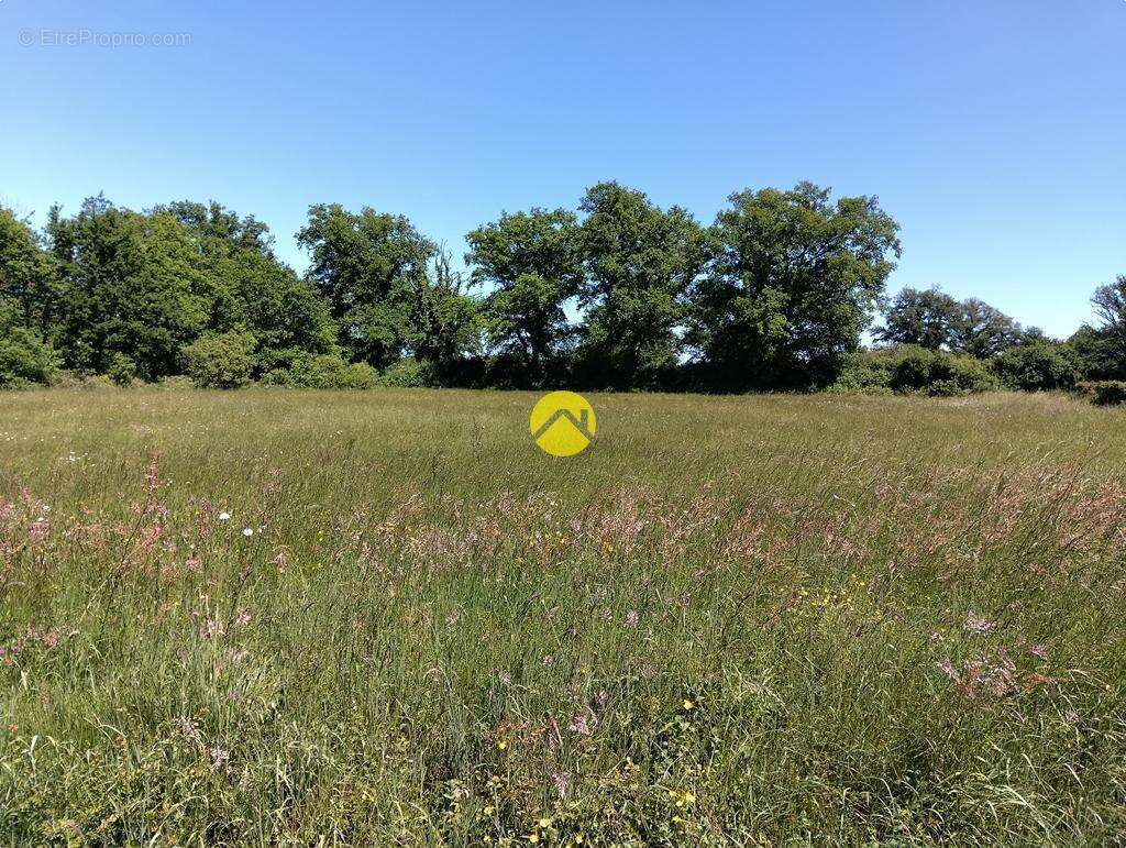 Terrain à LURCY-LEVIS