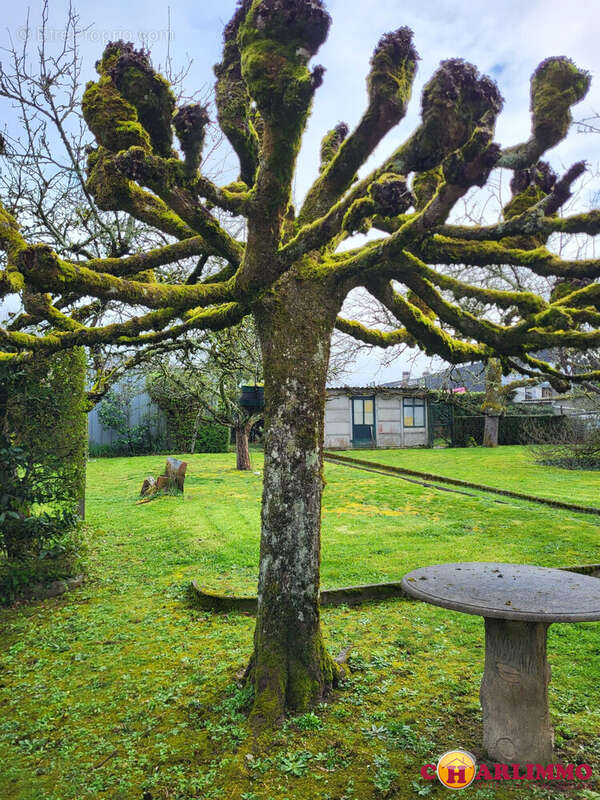Maison à SAINT-JUNIEN