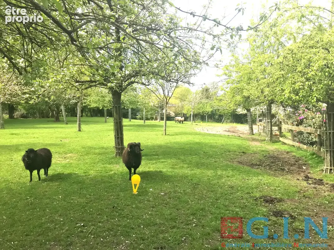 Photo Terrain à Le Bocasse au prix de 84 000€