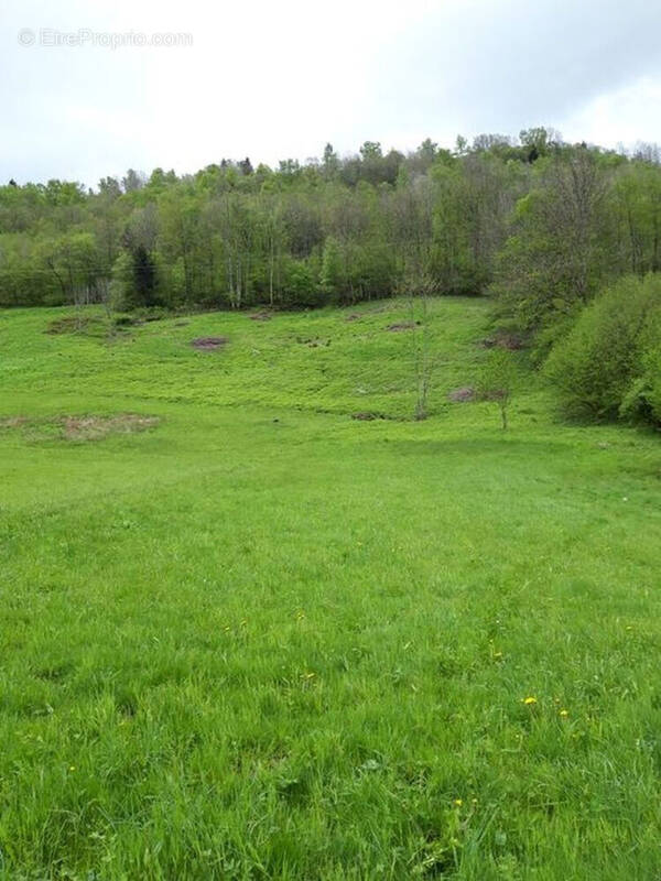 Terrain à LA BRESSE