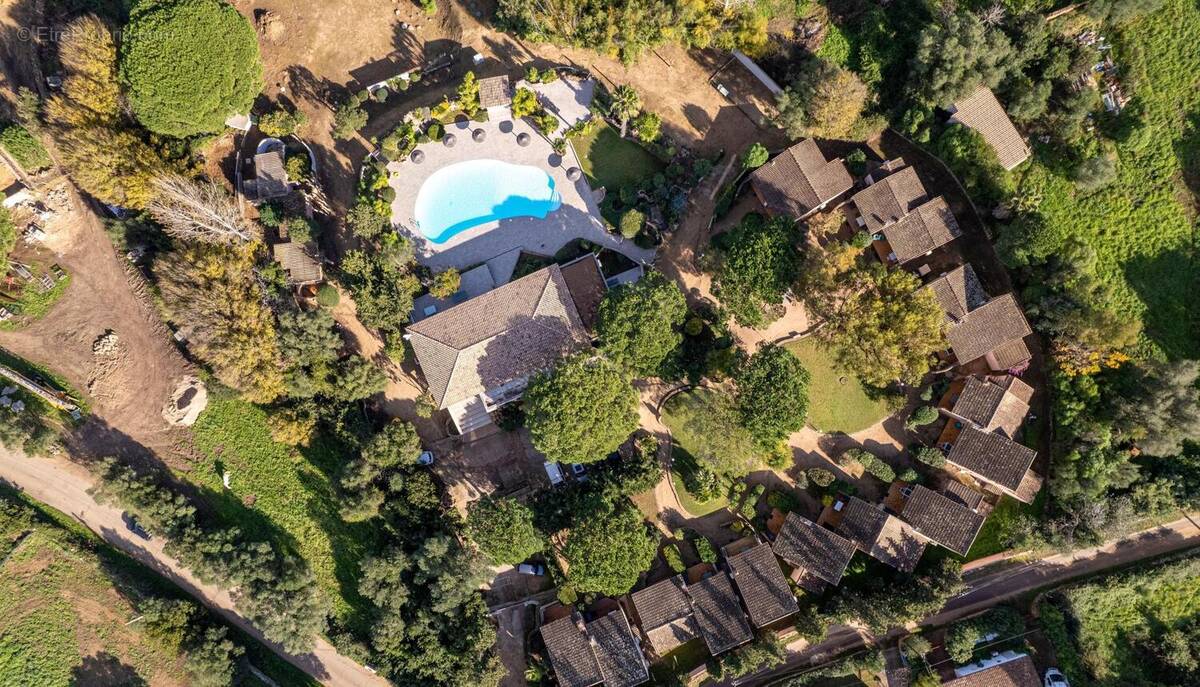 Photo 1 - Commerce à PORTO-VECCHIO