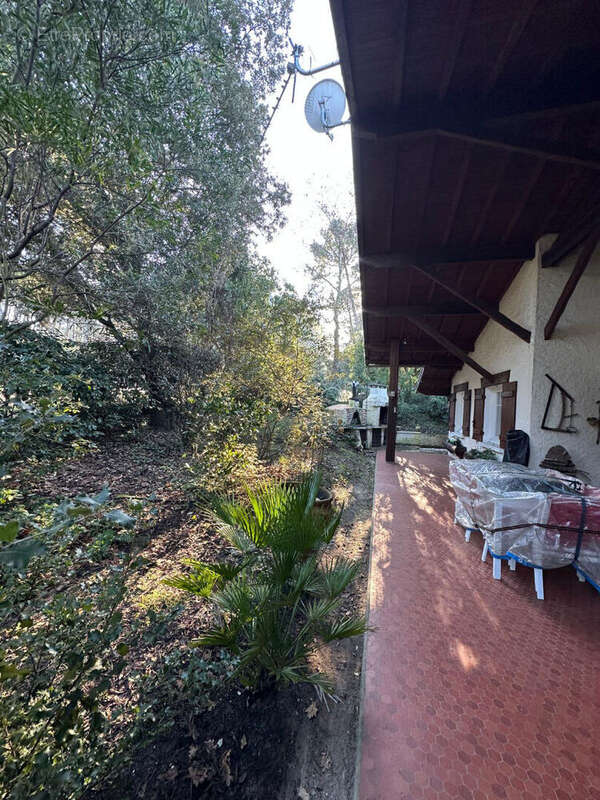 Maison à LEGE-CAP-FERRET