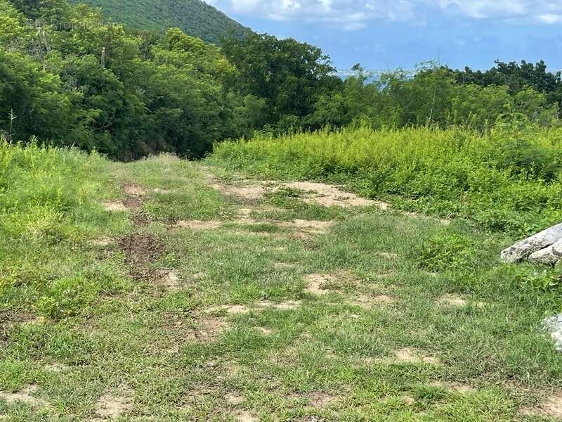 Terrain à SAINT-MARTIN