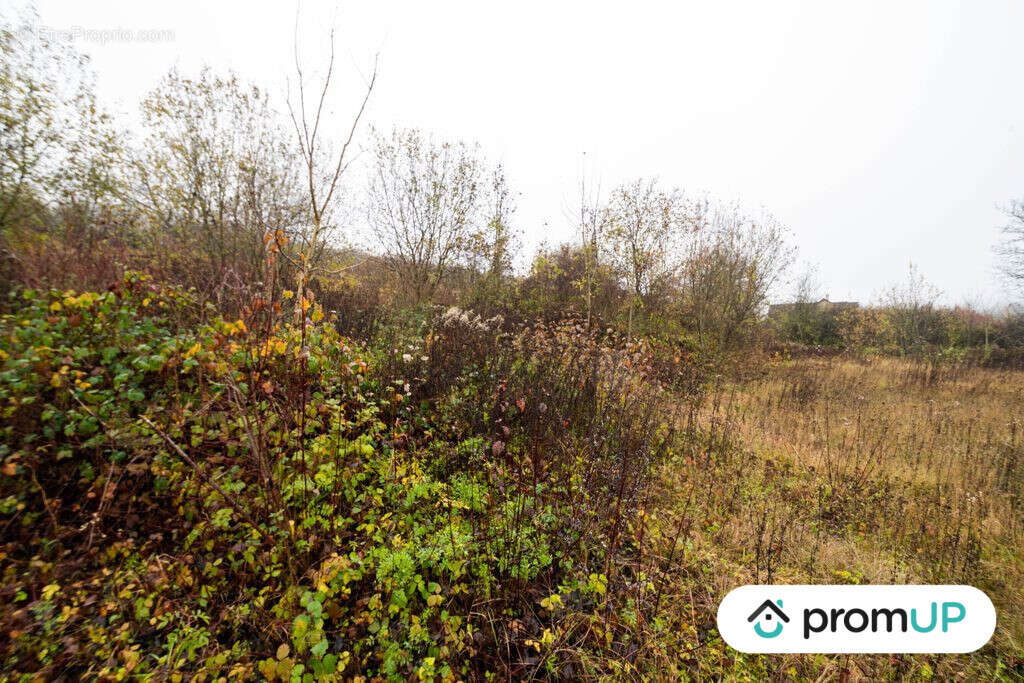 Terrain à HARAUCOURT