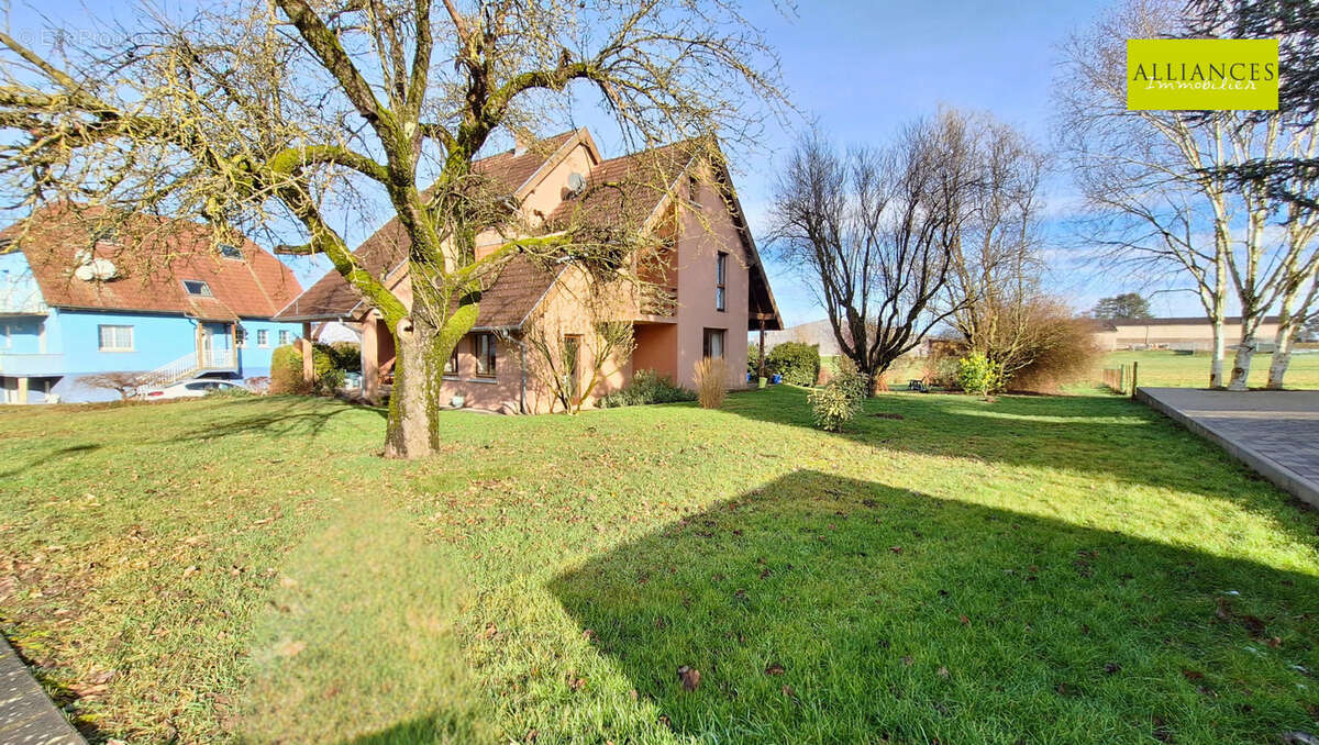 Maison à DANNEMARIE