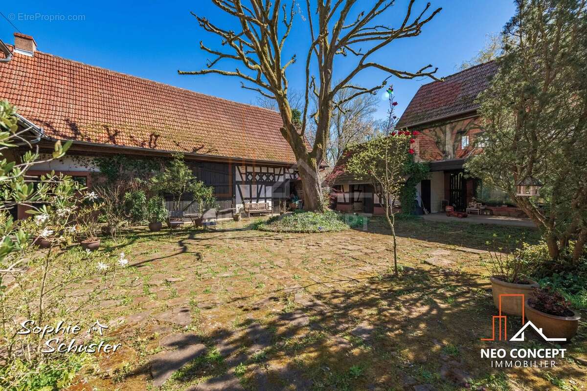 Maison à MULHAUSEN