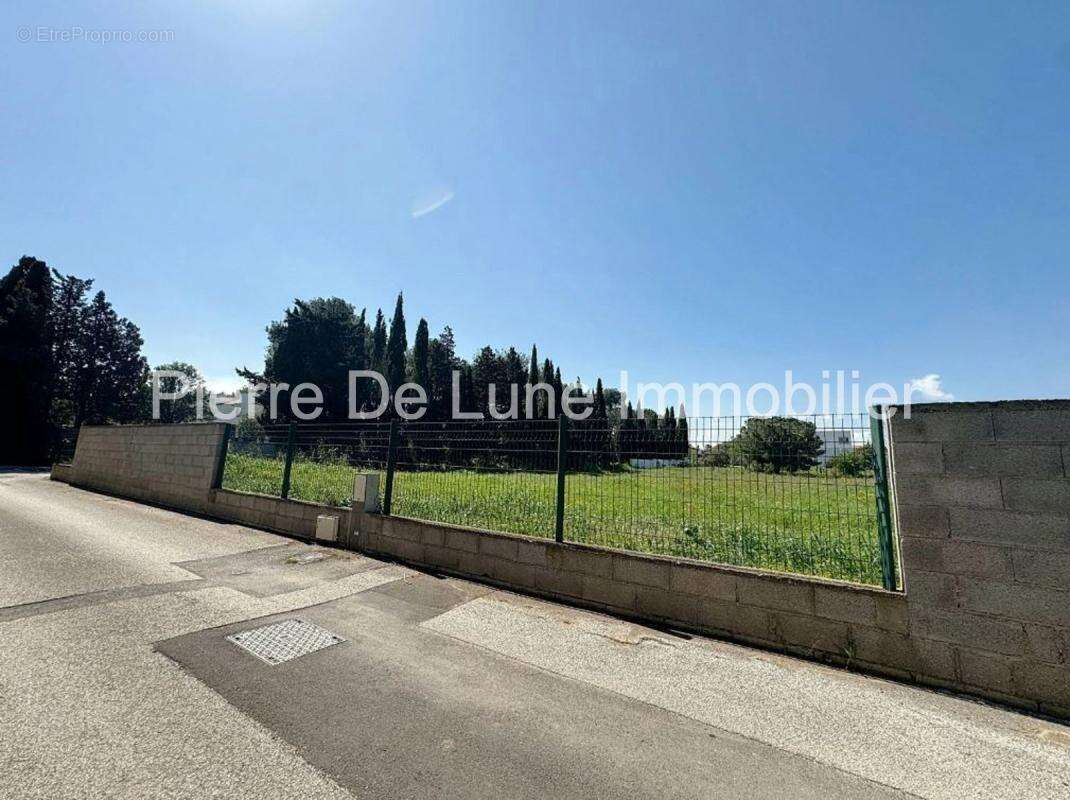 Mas Llaro, beau terrain plat 2000 m², viabilisé, clos, au calme - photo 8