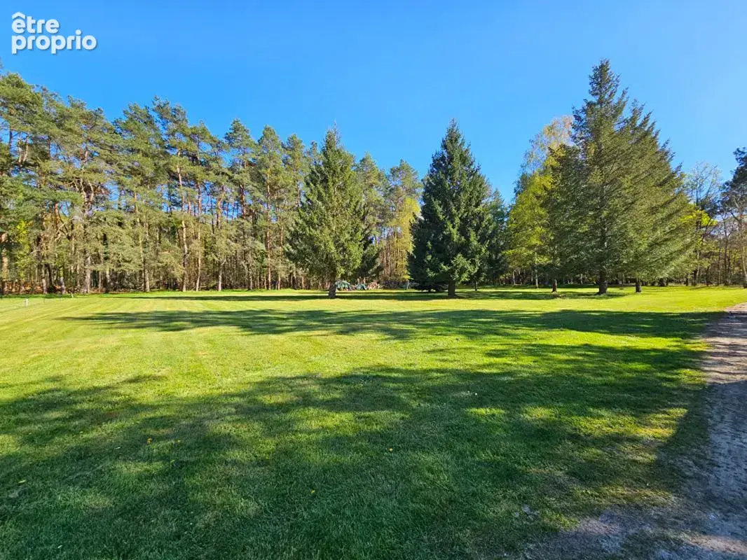 Propriété d'exception en Sologne - Longère de 292m² avec piscine intérieure sur 7,8 hectares - photo 12